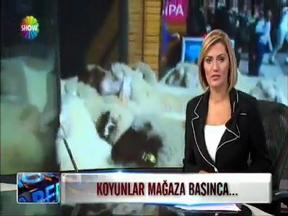 AKP'LİLER  SPOR MALZEMESİ SATAN BİR  MAĞAZAYI BASTILAR !