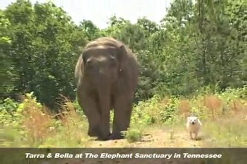 ❦Tarra and Bella❦