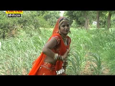 Aasin Nagri Mein Melo Devji Ke Chal Doono Dooli Bharo Pusha Lal Seanee Rajsthani Dev Narayan Chetak Cassettes Devotional