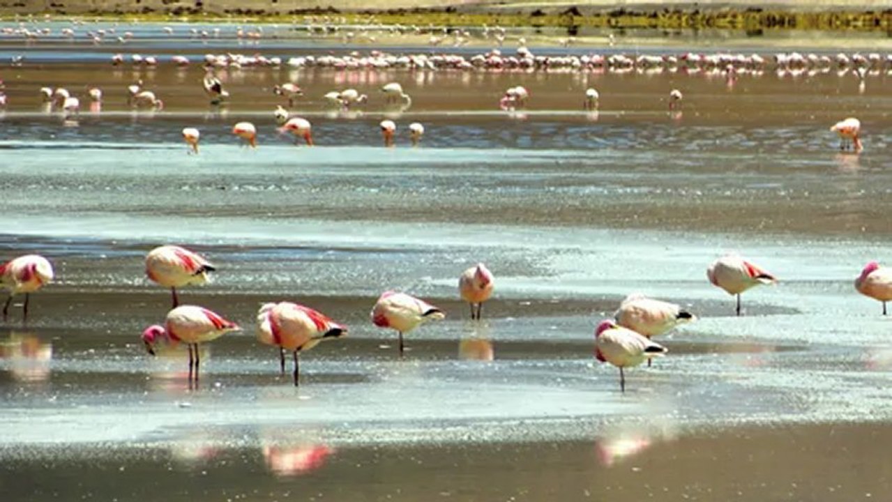 Diaporama Bolivie - Sud Lipez - 3eme jour - decembre 2012