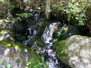 Pequeña Caida de Agua