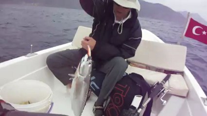 BALIK AVI ADRASANDA YAPILIR - www.adrasanbalik.com