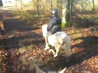 Uschiz, Léon & Lou - Promenade