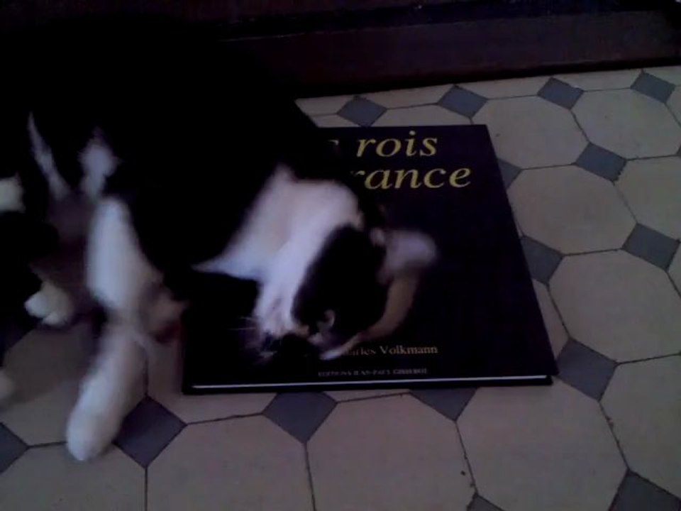 Kim et les rois de France