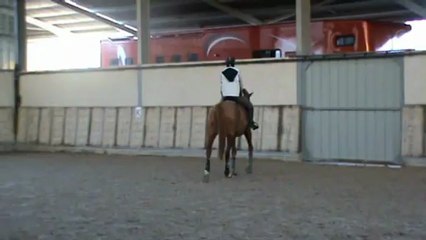 Présentation Lyard 2ème jour