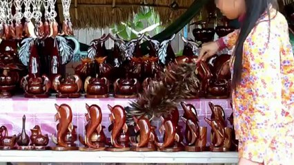Cambodge: l'éco-tourisme pour sauver les dauphins du Mékong