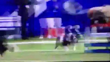 Ce singe fait le cavalier sur un chien à la mi-temps d'un match de football américain