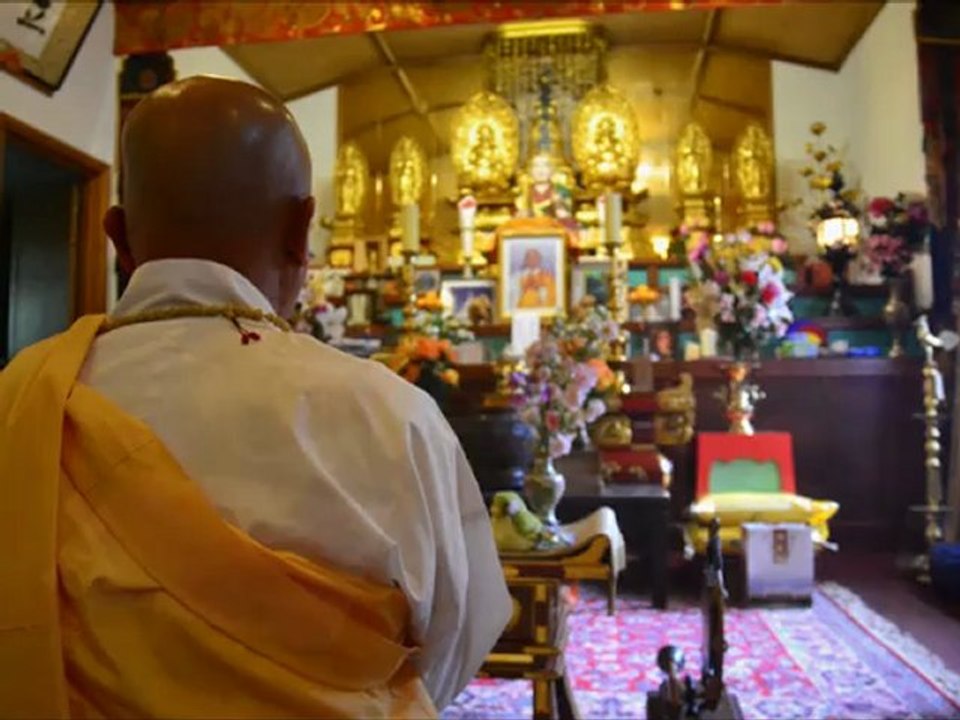 Raichi & Fugo's Journey - El Camino 2012