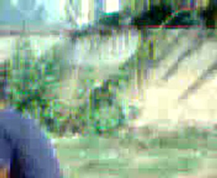 Playing cricket in ground