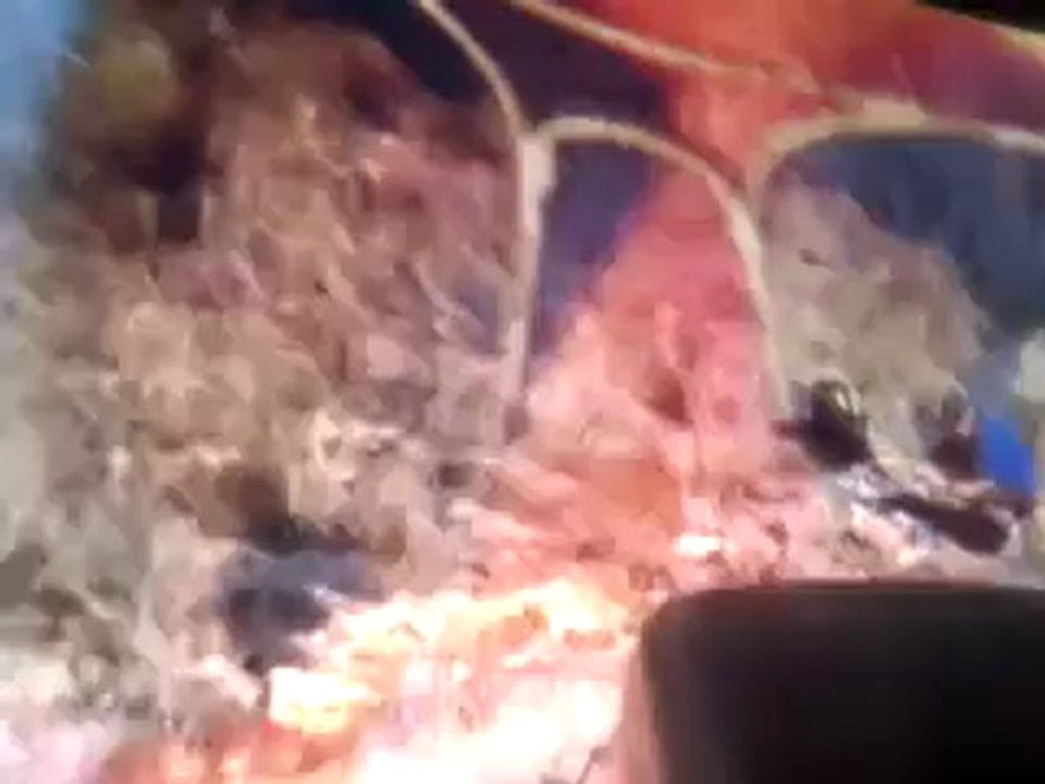MEGA TSUNAMI