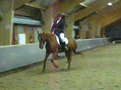 Dressage club 2 grand prix 23-12-2012 Pietro et Cybèle BLATRIX