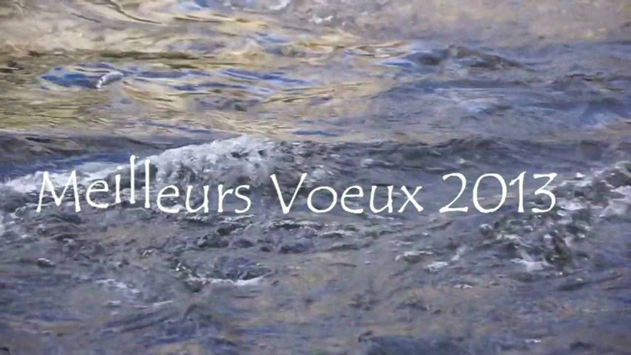 MEILLEURS VOEUX 2013
