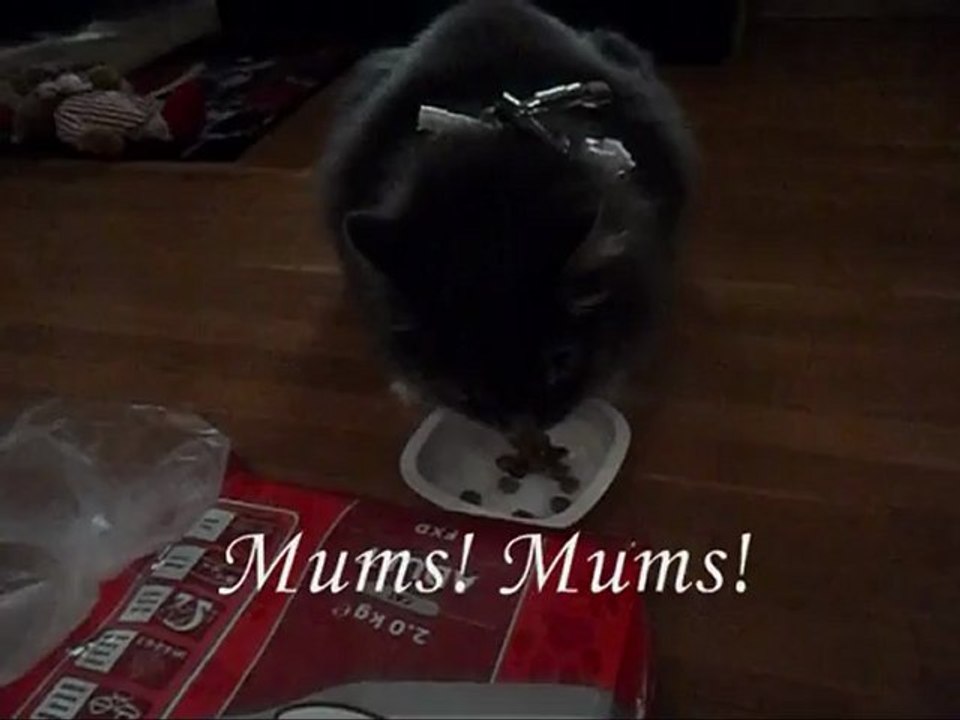 Film på Revis Nyårsafton  år 2012.    Med musik.