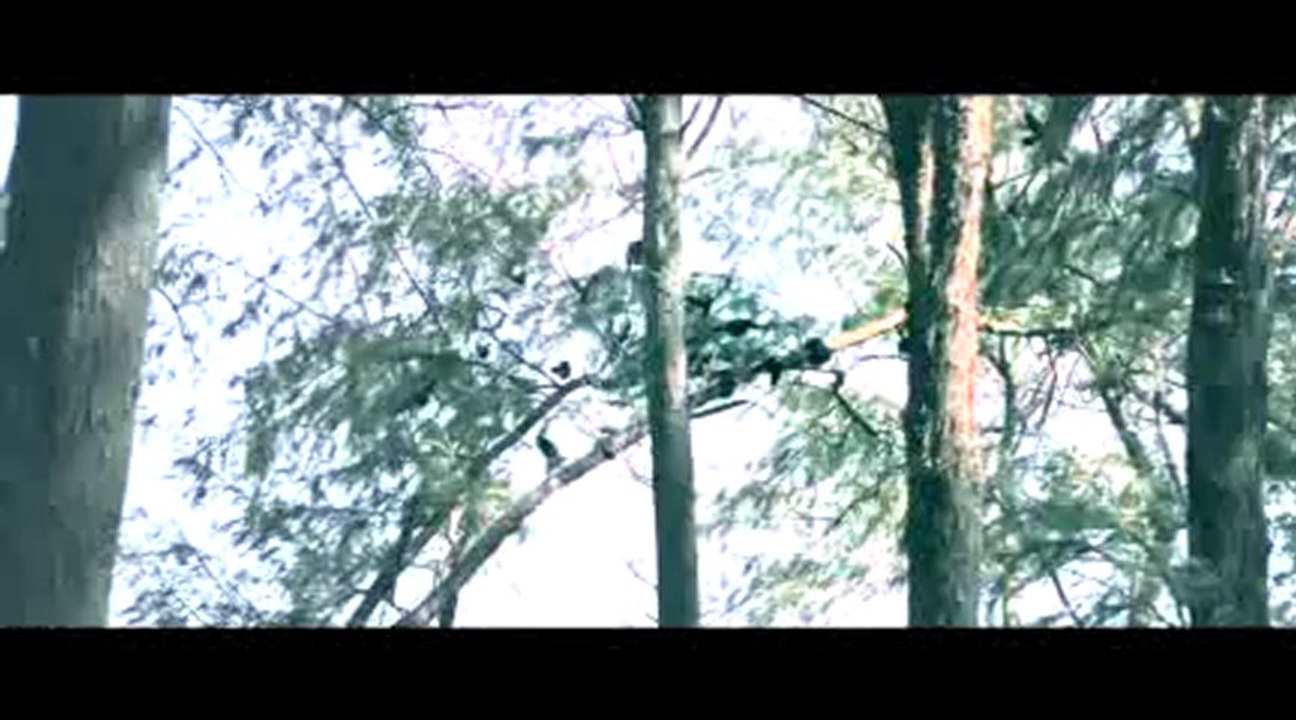 SATAN - Yo Yo Honey Singh - Full Song HD - S.A.T.A.N - 12.12.12