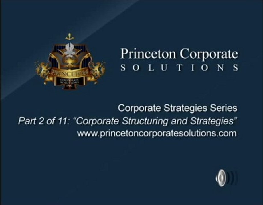 Private Placement Memorandum Example and Private Offerings