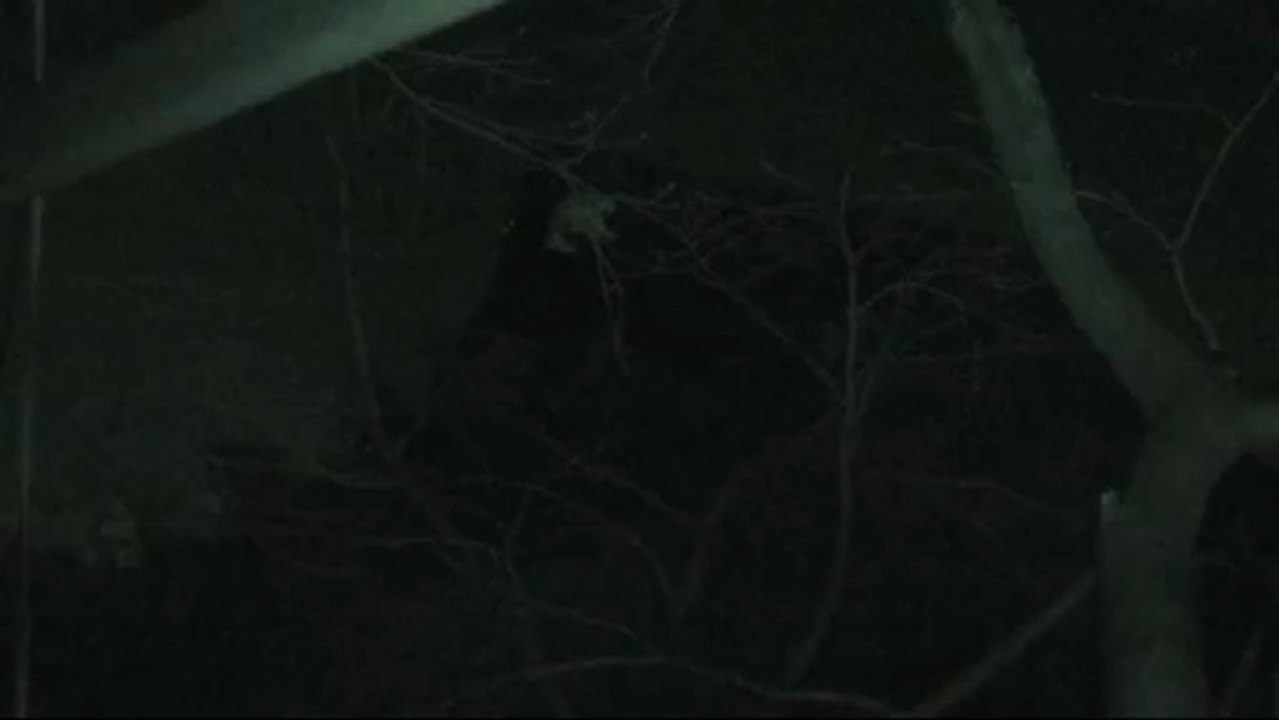 除夜の鐘 2013 in Gifu