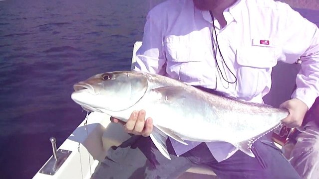 BALIK AVI VİDEOLARI ANTALYA ADRASANDA AKYA AVI - adrasanbalik.com