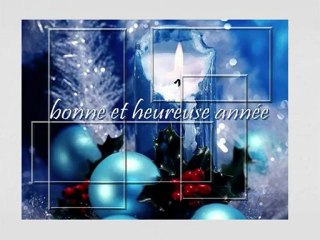 Voeux  2013 des Amis des Bêtes Aix-les-Bains