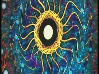 Film d'ambiance Annecy 2006