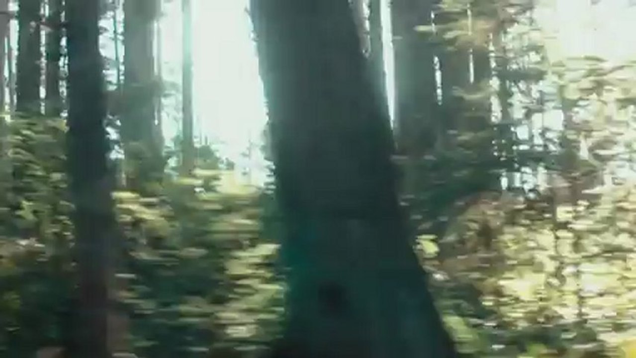 Safety Not Guaranteed - Clip - Safety Training