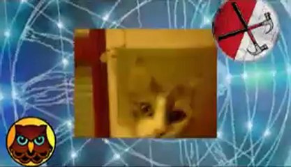 mini reveillon de st sylvestre