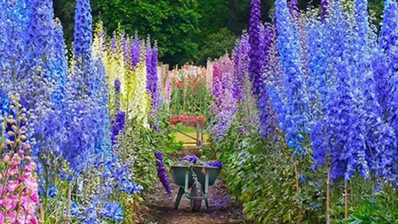 BONNE  ET HEUREUSE ANNEE 2013