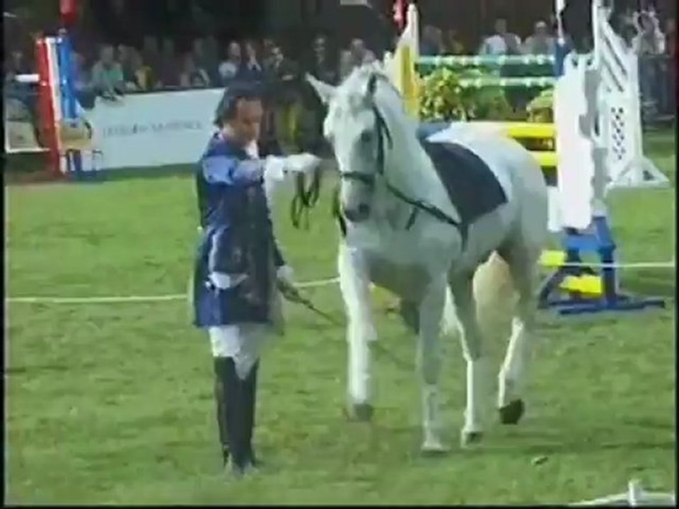 Des équitations...un même plaisir...merci cheval !