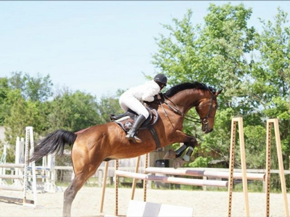 K.D.J ♥