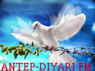 Izollu Memet Sitilamine Kürtce Uzun Hava -