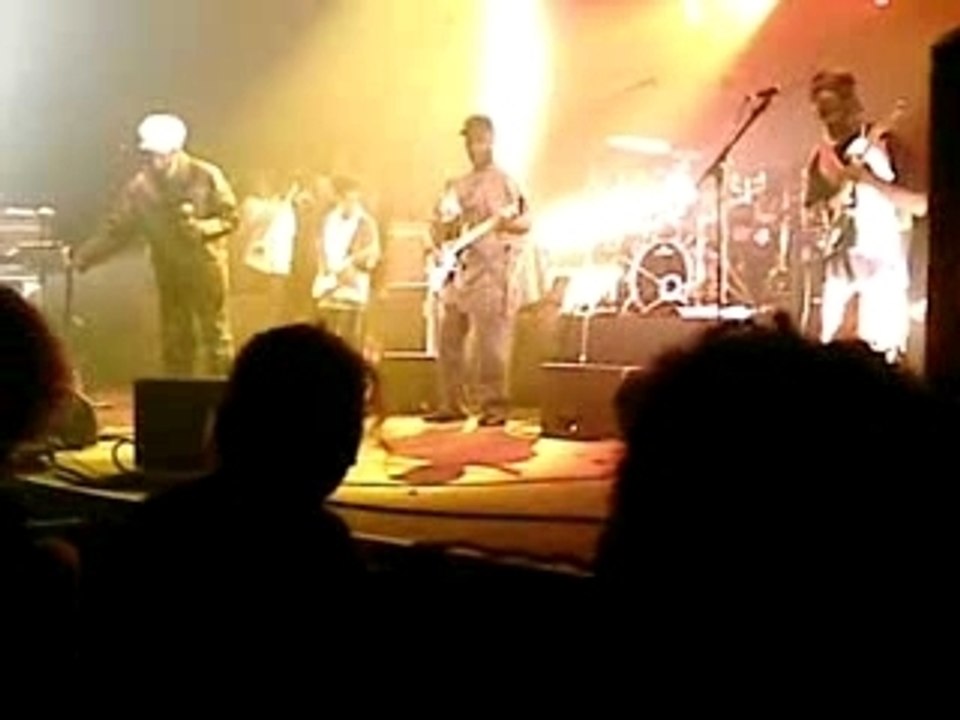 Misty Roots