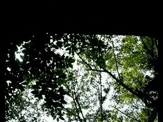 P'tite aprem parkour