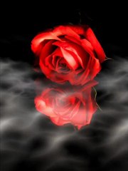 osman yilmaz - derdo mirim -