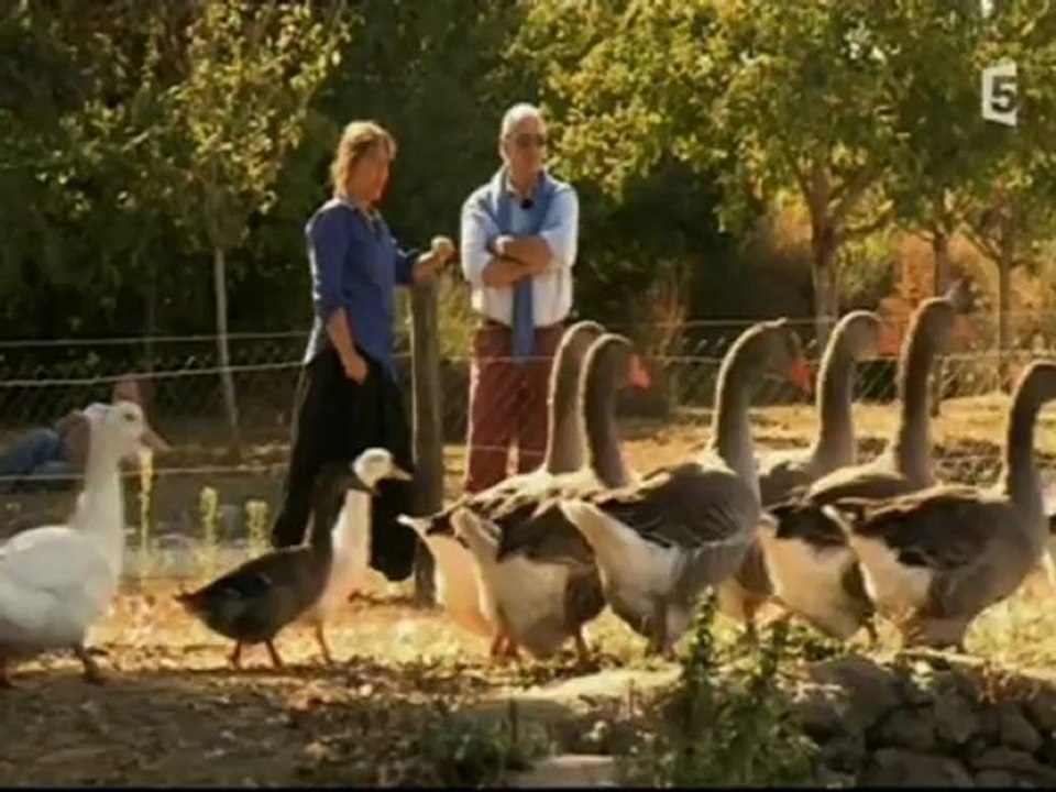 Des maisons & des Hôtes - Logis de Puygaty