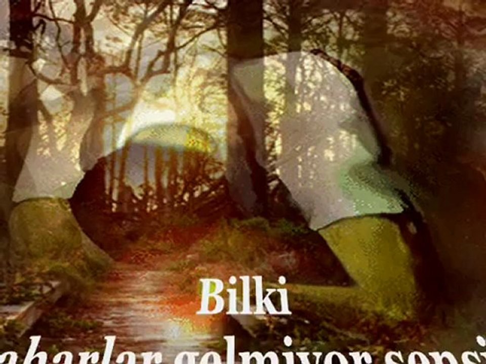 Mustafa Ozarslan Hasret Kaldim Ben O Yare Bilmez Yarim