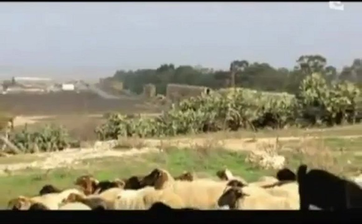 TIMGAD - LA ROME AFRICAINE