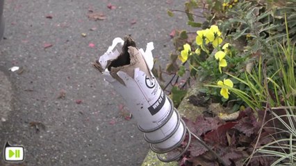 Nouvel an 2013 à Strasbourg