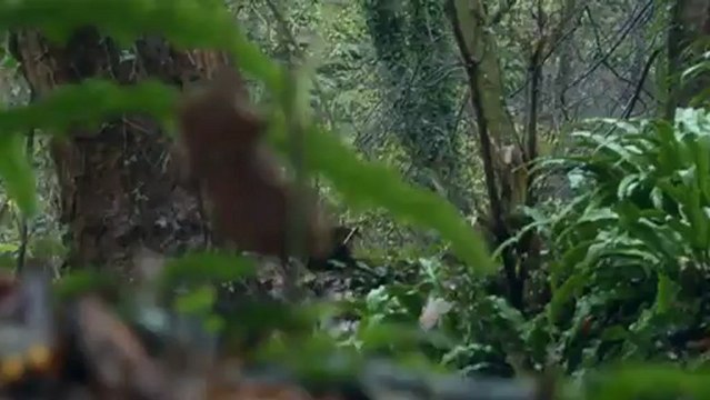 Unseen Skins - Effy Subtítulos Español (Skins-web.blogspot.com)