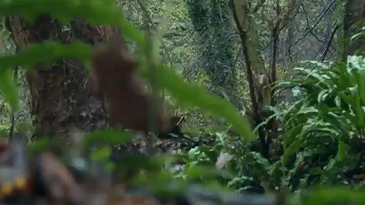 Unseen Skins - Effy Subtítulos Español (Skins-web.blogspot.com)