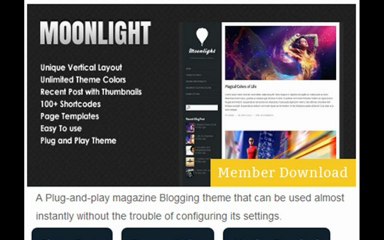 High Quality Wordpress Themes