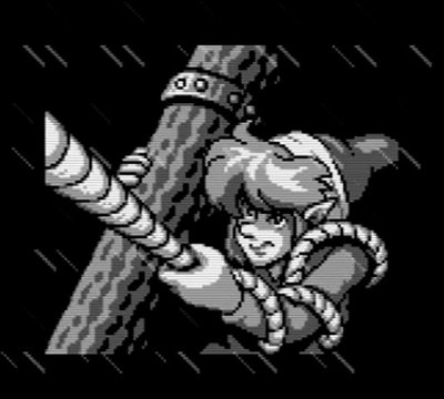 The Legend Of Zelda : Link's Awakening (Gameboy)