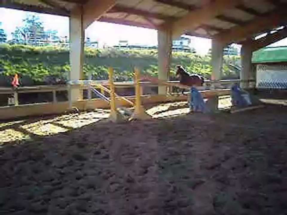 A vendre SF 6 ans CSO pret 6 ans A (saut liberté)