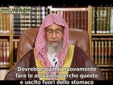 il Vomito  invalida gli L'abluzione ? Sheikh Saleh al-Fawzan traduzione in italiano