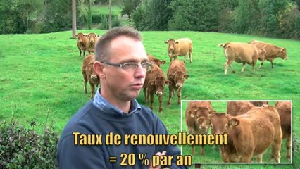 Vêlages de printemps