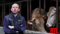 Olivier Varlet  pour les 50 ans du Salon de l'Agriculture 2013