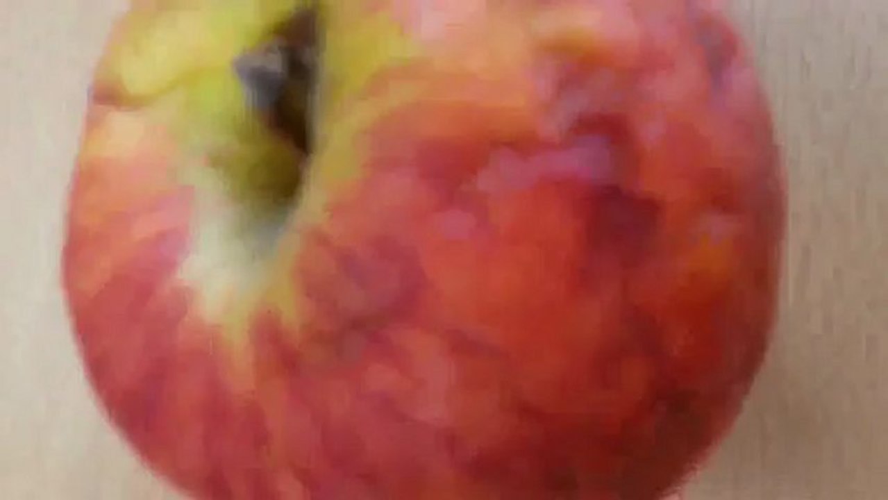 6 Wochen alter Apfel auf dem Galaxy S3