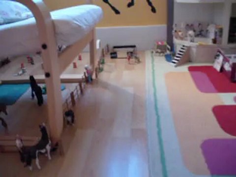 L'étoile pléiade, centre équestre schleich