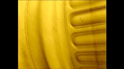 AAA  BOUT DE SOUFFLE ( Poor Standards! )