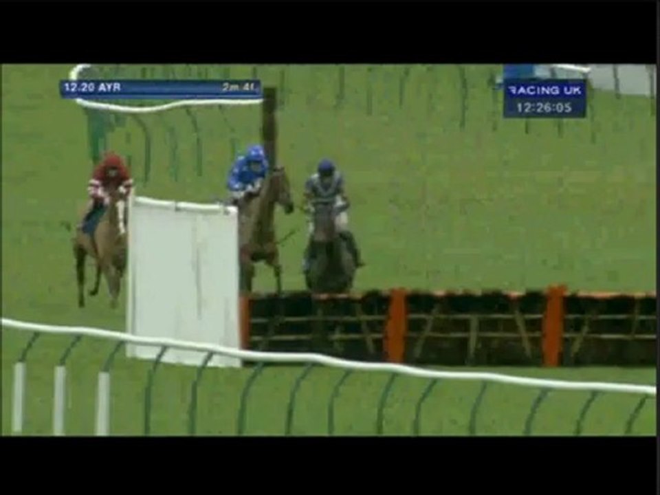 Horses