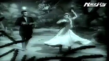 Mil Mil Ke Gayenge Do Dil