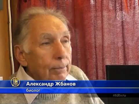 Украинский дельфин учится ползать по полу